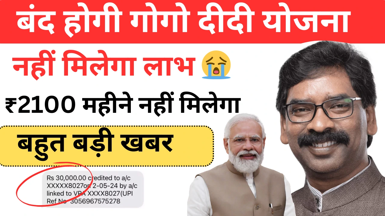 Gogo Didi Yojana Sahi Hai ya Galat